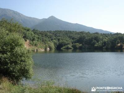 Pinares de Piedralaves; la barranca navacerrada bola del mundo madrid la silla de felipe ii